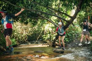 BIB: 
                            <button type="button" onclick="openModal(27767151)" class="btn btn-primary btn-sm float-right btn-popup" data-toggle="modal" data-target=".modal-high-quality">
                        <i class="fas fa-shopping-cart"></i> Add to Cart
                    </button>
                                            <button type="button" onclick="isThisMe(27767151, true)" class="btn btn-success btn-sm float-right btn-popup btn-isme hidden" data-toggle="tooltip" data-placement="bottom" title="นี่คือรูปของคุณใช่ไหม คลิกที่นี่เพื่อเอาเข้าอัลบั้ม">
                        <i class="fas fa-plus"></i> Add to album
                    </button>
                    <button type="button" onclick="isThisMe(27767151, false)" class="btn btn-warning btn-sm float-right btn-popup btn-isnotme hidden">
                        <i class="fas fa-ban"></i> Remove from album
                    </button>