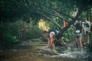 BIB: 
                            <button type="button" onclick="openModal(27177334)" class="btn btn-primary btn-sm float-right btn-popup" data-toggle="modal" data-target=".modal-high-quality">
                        <i class="fas fa-shopping-cart"></i> Add to Cart
                    </button>
                                            <button type="button" onclick="isThisMe(27177334, true)" class="btn btn-success btn-sm float-right btn-popup btn-isme hidden" data-toggle="tooltip" data-placement="bottom" title="นี่คือรูปของคุณใช่ไหม คลิกที่นี่เพื่อเอาเข้าอัลบั้ม">
                        <i class="fas fa-plus"></i> Add to album
                    </button>
                    <button type="button" onclick="isThisMe(27177334, false)" class="btn btn-warning btn-sm float-right btn-popup btn-isnotme hidden">
                        <i class="fas fa-ban"></i> Remove from album
                    </button>