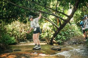 BIB: 
                            <button type="button" onclick="openModal(27765458)" class="btn btn-primary btn-sm float-right btn-popup" data-toggle="modal" data-target=".modal-high-quality">
                        <i class="fas fa-shopping-cart"></i> Add to Cart
                    </button>
                                            <button type="button" onclick="isThisMe(27765458, true)" class="btn btn-success btn-sm float-right btn-popup btn-isme hidden" data-toggle="tooltip" data-placement="bottom" title="นี่คือรูปของคุณใช่ไหม คลิกที่นี่เพื่อเอาเข้าอัลบั้ม">
                        <i class="fas fa-plus"></i> Add to album
                    </button>
                    <button type="button" onclick="isThisMe(27765458, false)" class="btn btn-warning btn-sm float-right btn-popup btn-isnotme hidden">
                        <i class="fas fa-ban"></i> Remove from album
                    </button>