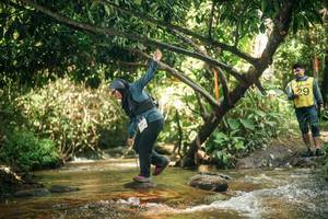 BIB: 
                            <button type="button" onclick="openModal(27767942)" class="btn btn-primary btn-sm float-right btn-popup" data-toggle="modal" data-target=".modal-high-quality">
                        <i class="fas fa-shopping-cart"></i> Add to Cart
                    </button>
                                            <button type="button" onclick="isThisMe(27767942, true)" class="btn btn-success btn-sm float-right btn-popup btn-isme hidden" data-toggle="tooltip" data-placement="bottom" title="นี่คือรูปของคุณใช่ไหม คลิกที่นี่เพื่อเอาเข้าอัลบั้ม">
                        <i class="fas fa-plus"></i> Add to album
                    </button>
                    <button type="button" onclick="isThisMe(27767942, false)" class="btn btn-warning btn-sm float-right btn-popup btn-isnotme hidden">
                        <i class="fas fa-ban"></i> Remove from album
                    </button>