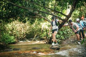 BIB: 
                            <button type="button" onclick="openModal(27781984)" class="btn btn-primary btn-sm float-right btn-popup" data-toggle="modal" data-target=".modal-high-quality">
                        <i class="fas fa-shopping-cart"></i> Add to Cart
                    </button>
                                            <button type="button" onclick="isThisMe(27781984, true)" class="btn btn-success btn-sm float-right btn-popup btn-isme hidden" data-toggle="tooltip" data-placement="bottom" title="นี่คือรูปของคุณใช่ไหม คลิกที่นี่เพื่อเอาเข้าอัลบั้ม">
                        <i class="fas fa-plus"></i> Add to album
                    </button>
                    <button type="button" onclick="isThisMe(27781984, false)" class="btn btn-warning btn-sm float-right btn-popup btn-isnotme hidden">
                        <i class="fas fa-ban"></i> Remove from album
                    </button>