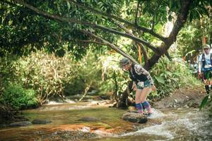 BIB: 
                            <button type="button" onclick="openModal(27773391)" class="btn btn-primary btn-sm float-right btn-popup" data-toggle="modal" data-target=".modal-high-quality">
                        <i class="fas fa-shopping-cart"></i> Add to Cart
                    </button>
                                            <button type="button" onclick="isThisMe(27773391, true)" class="btn btn-success btn-sm float-right btn-popup btn-isme hidden" data-toggle="tooltip" data-placement="bottom" title="นี่คือรูปของคุณใช่ไหม คลิกที่นี่เพื่อเอาเข้าอัลบั้ม">
                        <i class="fas fa-plus"></i> Add to album
                    </button>
                    <button type="button" onclick="isThisMe(27773391, false)" class="btn btn-warning btn-sm float-right btn-popup btn-isnotme hidden">
                        <i class="fas fa-ban"></i> Remove from album
                    </button>