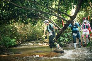 BIB: 
                            <button type="button" onclick="openModal(27754609)" class="btn btn-primary btn-sm float-right btn-popup" data-toggle="modal" data-target=".modal-high-quality">
                        <i class="fas fa-shopping-cart"></i> Add to Cart
                    </button>
                                            <button type="button" onclick="isThisMe(27754609, true)" class="btn btn-success btn-sm float-right btn-popup btn-isme hidden" data-toggle="tooltip" data-placement="bottom" title="นี่คือรูปของคุณใช่ไหม คลิกที่นี่เพื่อเอาเข้าอัลบั้ม">
                        <i class="fas fa-plus"></i> Add to album
                    </button>
                    <button type="button" onclick="isThisMe(27754609, false)" class="btn btn-warning btn-sm float-right btn-popup btn-isnotme hidden">
                        <i class="fas fa-ban"></i> Remove from album
                    </button>