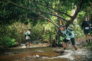 BIB: 
                            <button type="button" onclick="openModal(27775938)" class="btn btn-primary btn-sm float-right btn-popup" data-toggle="modal" data-target=".modal-high-quality">
                        <i class="fas fa-shopping-cart"></i> Add to Cart
                    </button>
                                            <button type="button" onclick="isThisMe(27775938, true)" class="btn btn-success btn-sm float-right btn-popup btn-isme hidden" data-toggle="tooltip" data-placement="bottom" title="นี่คือรูปของคุณใช่ไหม คลิกที่นี่เพื่อเอาเข้าอัลบั้ม">
                        <i class="fas fa-plus"></i> Add to album
                    </button>
                    <button type="button" onclick="isThisMe(27775938, false)" class="btn btn-warning btn-sm float-right btn-popup btn-isnotme hidden">
                        <i class="fas fa-ban"></i> Remove from album
                    </button>