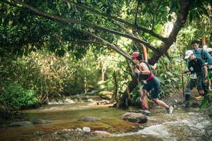 BIB: 
                            <button type="button" onclick="openModal(27752813)" class="btn btn-primary btn-sm float-right btn-popup" data-toggle="modal" data-target=".modal-high-quality">
                        <i class="fas fa-shopping-cart"></i> Add to Cart
                    </button>
                                            <button type="button" onclick="isThisMe(27752813, true)" class="btn btn-success btn-sm float-right btn-popup btn-isme hidden" data-toggle="tooltip" data-placement="bottom" title="นี่คือรูปของคุณใช่ไหม คลิกที่นี่เพื่อเอาเข้าอัลบั้ม">
                        <i class="fas fa-plus"></i> Add to album
                    </button>
                    <button type="button" onclick="isThisMe(27752813, false)" class="btn btn-warning btn-sm float-right btn-popup btn-isnotme hidden">
                        <i class="fas fa-ban"></i> Remove from album
                    </button>