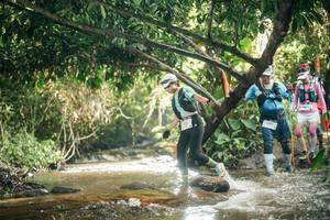 BIB: 
                            <button type="button" onclick="openModal(27754659)" class="btn btn-primary btn-sm float-right btn-popup" data-toggle="modal" data-target=".modal-high-quality">
                        <i class="fas fa-shopping-cart"></i> Add to Cart
                    </button>
                                            <button type="button" onclick="isThisMe(27754659, true)" class="btn btn-success btn-sm float-right btn-popup btn-isme hidden" data-toggle="tooltip" data-placement="bottom" title="นี่คือรูปของคุณใช่ไหม คลิกที่นี่เพื่อเอาเข้าอัลบั้ม">
                        <i class="fas fa-plus"></i> Add to album
                    </button>
                    <button type="button" onclick="isThisMe(27754659, false)" class="btn btn-warning btn-sm float-right btn-popup btn-isnotme hidden">
                        <i class="fas fa-ban"></i> Remove from album
                    </button>