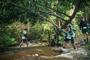 BIB: 
                            <button type="button" onclick="openModal(27775902)" class="btn btn-primary btn-sm float-right btn-popup" data-toggle="modal" data-target=".modal-high-quality">
                        <i class="fas fa-shopping-cart"></i> Add to Cart
                    </button>
                                            <button type="button" onclick="isThisMe(27775902, true)" class="btn btn-success btn-sm float-right btn-popup btn-isme hidden" data-toggle="tooltip" data-placement="bottom" title="นี่คือรูปของคุณใช่ไหม คลิกที่นี่เพื่อเอาเข้าอัลบั้ม">
                        <i class="fas fa-plus"></i> Add to album
                    </button>
                    <button type="button" onclick="isThisMe(27775902, false)" class="btn btn-warning btn-sm float-right btn-popup btn-isnotme hidden">
                        <i class="fas fa-ban"></i> Remove from album
                    </button>