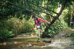 BIB: 
                            <button type="button" onclick="openModal(27758491)" class="btn btn-primary btn-sm float-right btn-popup" data-toggle="modal" data-target=".modal-high-quality">
                        <i class="fas fa-shopping-cart"></i> Add to Cart
                    </button>
                                            <button type="button" onclick="isThisMe(27758491, true)" class="btn btn-success btn-sm float-right btn-popup btn-isme hidden" data-toggle="tooltip" data-placement="bottom" title="นี่คือรูปของคุณใช่ไหม คลิกที่นี่เพื่อเอาเข้าอัลบั้ม">
                        <i class="fas fa-plus"></i> Add to album
                    </button>
                    <button type="button" onclick="isThisMe(27758491, false)" class="btn btn-warning btn-sm float-right btn-popup btn-isnotme hidden">
                        <i class="fas fa-ban"></i> Remove from album
                    </button>