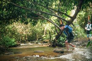 BIB: 
                            <button type="button" onclick="openModal(27779155)" class="btn btn-primary btn-sm float-right btn-popup" data-toggle="modal" data-target=".modal-high-quality">
                        <i class="fas fa-shopping-cart"></i> Add to Cart
                    </button>
                                            <button type="button" onclick="isThisMe(27779155, true)" class="btn btn-success btn-sm float-right btn-popup btn-isme hidden" data-toggle="tooltip" data-placement="bottom" title="นี่คือรูปของคุณใช่ไหม คลิกที่นี่เพื่อเอาเข้าอัลบั้ม">
                        <i class="fas fa-plus"></i> Add to album
                    </button>
                    <button type="button" onclick="isThisMe(27779155, false)" class="btn btn-warning btn-sm float-right btn-popup btn-isnotme hidden">
                        <i class="fas fa-ban"></i> Remove from album
                    </button>