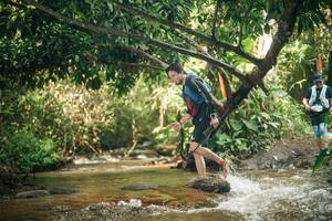 BIB: 
                            <button type="button" onclick="openModal(27779036)" class="btn btn-primary btn-sm float-right btn-popup" data-toggle="modal" data-target=".modal-high-quality">
                        <i class="fas fa-shopping-cart"></i> Add to Cart
                    </button>
                                            <button type="button" onclick="isThisMe(27779036, true)" class="btn btn-success btn-sm float-right btn-popup btn-isme hidden" data-toggle="tooltip" data-placement="bottom" title="นี่คือรูปของคุณใช่ไหม คลิกที่นี่เพื่อเอาเข้าอัลบั้ม">
                        <i class="fas fa-plus"></i> Add to album
                    </button>
                    <button type="button" onclick="isThisMe(27779036, false)" class="btn btn-warning btn-sm float-right btn-popup btn-isnotme hidden">
                        <i class="fas fa-ban"></i> Remove from album
                    </button>