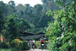 BIB: 
                            <button type="button" onclick="openModal(26817154)" class="btn btn-primary btn-sm float-right btn-popup" data-toggle="modal" data-target=".modal-high-quality">
                        <i class="fas fa-shopping-cart"></i> Add to Cart
                    </button>
                                            <button type="button" onclick="isThisMe(26817154, true)" class="btn btn-success btn-sm float-right btn-popup btn-isme hidden" data-toggle="tooltip" data-placement="bottom" title="นี่คือรูปของคุณใช่ไหม คลิกที่นี่เพื่อเอาเข้าอัลบั้ม">
                        <i class="fas fa-plus"></i> Add to album
                    </button>
                    <button type="button" onclick="isThisMe(26817154, false)" class="btn btn-warning btn-sm float-right btn-popup btn-isnotme hidden">
                        <i class="fas fa-ban"></i> Remove from album
                    </button>