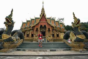 BIB: 
                            <button type="button" onclick="openModal(27585015)" class="btn btn-primary btn-sm float-right btn-popup" data-toggle="modal" data-target=".modal-high-quality">
                        <i class="fas fa-shopping-cart"></i> Add to Cart
                    </button>
                                            <button type="button" onclick="isThisMe(27585015, true)" class="btn btn-success btn-sm float-right btn-popup btn-isme hidden" data-toggle="tooltip" data-placement="bottom" title="นี่คือรูปของคุณใช่ไหม คลิกที่นี่เพื่อเอาเข้าอัลบั้ม">
                        <i class="fas fa-plus"></i> Add to album
                    </button>
                    <button type="button" onclick="isThisMe(27585015, false)" class="btn btn-warning btn-sm float-right btn-popup btn-isnotme hidden">
                        <i class="fas fa-ban"></i> Remove from album
                    </button>