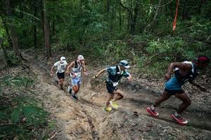 BIB: 
                            <button type="button" onclick="openModal(26899386)" class="btn btn-primary btn-sm float-right btn-popup" data-toggle="modal" data-target=".modal-high-quality">
                        <i class="fas fa-shopping-cart"></i> Add to Cart
                    </button>
                                            <button type="button" onclick="isThisMe(26899386, true)" class="btn btn-success btn-sm float-right btn-popup btn-isme hidden" data-toggle="tooltip" data-placement="bottom" title="นี่คือรูปของคุณใช่ไหม คลิกที่นี่เพื่อเอาเข้าอัลบั้ม">
                        <i class="fas fa-plus"></i> Add to album
                    </button>
                    <button type="button" onclick="isThisMe(26899386, false)" class="btn btn-warning btn-sm float-right btn-popup btn-isnotme hidden">
                        <i class="fas fa-ban"></i> Remove from album
                    </button>