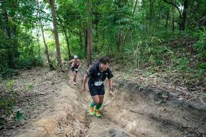 BIB: 
                            <button type="button" onclick="openModal(26899446)" class="btn btn-primary btn-sm float-right btn-popup" data-toggle="modal" data-target=".modal-high-quality">
                        <i class="fas fa-shopping-cart"></i> Add to Cart
                    </button>
                                            <button type="button" onclick="isThisMe(26899446, true)" class="btn btn-success btn-sm float-right btn-popup btn-isme hidden" data-toggle="tooltip" data-placement="bottom" title="นี่คือรูปของคุณใช่ไหม คลิกที่นี่เพื่อเอาเข้าอัลบั้ม">
                        <i class="fas fa-plus"></i> Add to album
                    </button>
                    <button type="button" onclick="isThisMe(26899446, false)" class="btn btn-warning btn-sm float-right btn-popup btn-isnotme hidden">
                        <i class="fas fa-ban"></i> Remove from album
                    </button>