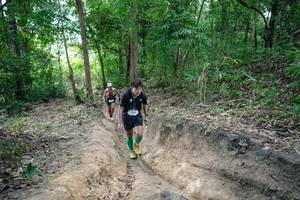 BIB: 
                            <button type="button" onclick="openModal(26899444)" class="btn btn-primary btn-sm float-right btn-popup" data-toggle="modal" data-target=".modal-high-quality">
                        <i class="fas fa-shopping-cart"></i> Add to Cart
                    </button>
                                            <button type="button" onclick="isThisMe(26899444, true)" class="btn btn-success btn-sm float-right btn-popup btn-isme hidden" data-toggle="tooltip" data-placement="bottom" title="นี่คือรูปของคุณใช่ไหม คลิกที่นี่เพื่อเอาเข้าอัลบั้ม">
                        <i class="fas fa-plus"></i> Add to album
                    </button>
                    <button type="button" onclick="isThisMe(26899444, false)" class="btn btn-warning btn-sm float-right btn-popup btn-isnotme hidden">
                        <i class="fas fa-ban"></i> Remove from album
                    </button>