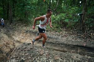 BIB: 
                            <button type="button" onclick="openModal(26899376)" class="btn btn-primary btn-sm float-right btn-popup" data-toggle="modal" data-target=".modal-high-quality">
                        <i class="fas fa-shopping-cart"></i> Add to Cart
                    </button>
                                            <button type="button" onclick="isThisMe(26899376, true)" class="btn btn-success btn-sm float-right btn-popup btn-isme hidden" data-toggle="tooltip" data-placement="bottom" title="นี่คือรูปของคุณใช่ไหม คลิกที่นี่เพื่อเอาเข้าอัลบั้ม">
                        <i class="fas fa-plus"></i> Add to album
                    </button>
                    <button type="button" onclick="isThisMe(26899376, false)" class="btn btn-warning btn-sm float-right btn-popup btn-isnotme hidden">
                        <i class="fas fa-ban"></i> Remove from album
                    </button>