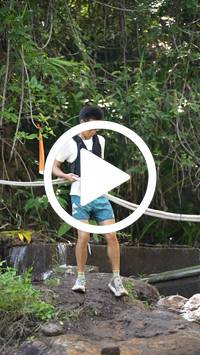 BIB:  <button type="button" onclick="openModal(27567993)" class="btn btn-primary btn-sm float-right" data-toggle="modal" data-target=".modal-high-quality">
                <i class="fa fa-download"></i> Download
                </button>