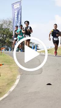 BIB:  <button type="button" onclick="openModal(27287893)" class="btn btn-primary btn-sm float-right" data-toggle="modal" data-target=".modal-high-quality">
                <i class="fa fa-download"></i> Download
                </button>