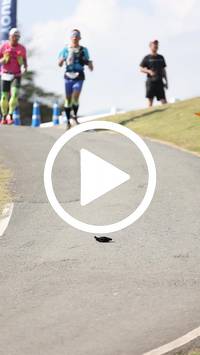 BIB:  <button type="button" onclick="openModal(27288167)" class="btn btn-primary btn-sm float-right" data-toggle="modal" data-target=".modal-high-quality">
                <i class="fa fa-download"></i> Download
                </button>