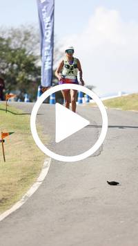 BIB:  <button type="button" onclick="openModal(27288427)" class="btn btn-primary btn-sm float-right" data-toggle="modal" data-target=".modal-high-quality">
                <i class="fa fa-download"></i> Download
                </button>