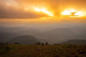 BIB: 
                            <button type="button" onclick="openModal(19374007)" class="btn btn-primary btn-sm float-right btn-popup" data-toggle="modal" data-target=".modal-high-quality">
                        <i class="fas fa-shopping-cart"></i> Add to Cart
                    </button>
                                            <button type="button" onclick="isThisMe(19374007, true)" class="btn btn-success btn-sm float-right btn-popup btn-isme hidden" data-toggle="tooltip" data-placement="bottom" title="นี่คือรูปของคุณใช่ไหม คลิกที่นี่เพื่อเอาเข้าอัลบั้ม">
                        <i class="fas fa-plus"></i> Add to album
                    </button>
                    <button type="button" onclick="isThisMe(19374007, false)" class="btn btn-warning btn-sm float-right btn-popup btn-isnotme hidden">
                        <i class="fas fa-ban"></i> Remove from album
                    </button>