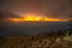 BIB: 
                            <button type="button" onclick="openModal(19374014)" class="btn btn-primary btn-sm float-right btn-popup" data-toggle="modal" data-target=".modal-high-quality">
                        <i class="fas fa-shopping-cart"></i> Add to Cart
                    </button>
                                            <button type="button" onclick="isThisMe(19374014, true)" class="btn btn-success btn-sm float-right btn-popup btn-isme hidden" data-toggle="tooltip" data-placement="bottom" title="นี่คือรูปของคุณใช่ไหม คลิกที่นี่เพื่อเอาเข้าอัลบั้ม">
                        <i class="fas fa-plus"></i> Add to album
                    </button>
                    <button type="button" onclick="isThisMe(19374014, false)" class="btn btn-warning btn-sm float-right btn-popup btn-isnotme hidden">
                        <i class="fas fa-ban"></i> Remove from album
                    </button>