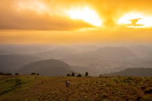 BIB: 
                            <button type="button" onclick="openModal(19374006)" class="btn btn-primary btn-sm float-right btn-popup" data-toggle="modal" data-target=".modal-high-quality">
                        <i class="fas fa-shopping-cart"></i> Add to Cart
                    </button>
                                            <button type="button" onclick="isThisMe(19374006, true)" class="btn btn-success btn-sm float-right btn-popup btn-isme hidden" data-toggle="tooltip" data-placement="bottom" title="นี่คือรูปของคุณใช่ไหม คลิกที่นี่เพื่อเอาเข้าอัลบั้ม">
                        <i class="fas fa-plus"></i> Add to album
                    </button>
                    <button type="button" onclick="isThisMe(19374006, false)" class="btn btn-warning btn-sm float-right btn-popup btn-isnotme hidden">
                        <i class="fas fa-ban"></i> Remove from album
                    </button>