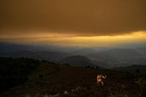 BIB: 
                            <button type="button" onclick="openModal(19373975)" class="btn btn-primary btn-sm float-right btn-popup" data-toggle="modal" data-target=".modal-high-quality">
                        <i class="fas fa-shopping-cart"></i> Add to Cart
                    </button>
                                            <button type="button" onclick="isThisMe(19373975, true)" class="btn btn-success btn-sm float-right btn-popup btn-isme hidden" data-toggle="tooltip" data-placement="bottom" title="นี่คือรูปของคุณใช่ไหม คลิกที่นี่เพื่อเอาเข้าอัลบั้ม">
                        <i class="fas fa-plus"></i> Add to album
                    </button>
                    <button type="button" onclick="isThisMe(19373975, false)" class="btn btn-warning btn-sm float-right btn-popup btn-isnotme hidden">
                        <i class="fas fa-ban"></i> Remove from album
                    </button>