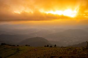 BIB: 
                            <button type="button" onclick="openModal(19374003)" class="btn btn-primary btn-sm float-right btn-popup" data-toggle="modal" data-target=".modal-high-quality">
                        <i class="fas fa-shopping-cart"></i> Add to Cart
                    </button>
                                            <button type="button" onclick="isThisMe(19374003, true)" class="btn btn-success btn-sm float-right btn-popup btn-isme hidden" data-toggle="tooltip" data-placement="bottom" title="นี่คือรูปของคุณใช่ไหม คลิกที่นี่เพื่อเอาเข้าอัลบั้ม">
                        <i class="fas fa-plus"></i> Add to album
                    </button>
                    <button type="button" onclick="isThisMe(19374003, false)" class="btn btn-warning btn-sm float-right btn-popup btn-isnotme hidden">
                        <i class="fas fa-ban"></i> Remove from album
                    </button>