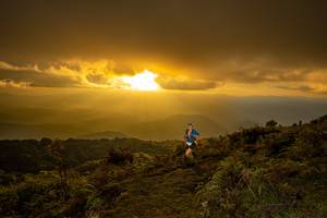 BIB: 
                            <button type="button" onclick="openModal(19373868)" class="btn btn-primary btn-sm float-right btn-popup" data-toggle="modal" data-target=".modal-high-quality">
                        <i class="fas fa-shopping-cart"></i> Add to Cart
                    </button>
                                            <button type="button" onclick="isThisMe(19373868, true)" class="btn btn-success btn-sm float-right btn-popup btn-isme hidden" data-toggle="tooltip" data-placement="bottom" title="นี่คือรูปของคุณใช่ไหม คลิกที่นี่เพื่อเอาเข้าอัลบั้ม">
                        <i class="fas fa-plus"></i> Add to album
                    </button>
                    <button type="button" onclick="isThisMe(19373868, false)" class="btn btn-warning btn-sm float-right btn-popup btn-isnotme hidden">
                        <i class="fas fa-ban"></i> Remove from album
                    </button>