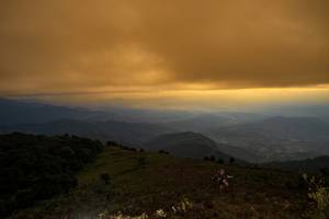 BIB: 
                            <button type="button" onclick="openModal(19373963)" class="btn btn-primary btn-sm float-right btn-popup" data-toggle="modal" data-target=".modal-high-quality">
                        <i class="fas fa-shopping-cart"></i> Add to Cart
                    </button>
                                            <button type="button" onclick="isThisMe(19373963, true)" class="btn btn-success btn-sm float-right btn-popup btn-isme hidden" data-toggle="tooltip" data-placement="bottom" title="นี่คือรูปของคุณใช่ไหม คลิกที่นี่เพื่อเอาเข้าอัลบั้ม">
                        <i class="fas fa-plus"></i> Add to album
                    </button>
                    <button type="button" onclick="isThisMe(19373963, false)" class="btn btn-warning btn-sm float-right btn-popup btn-isnotme hidden">
                        <i class="fas fa-ban"></i> Remove from album
                    </button>