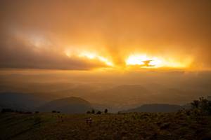 BIB: 
                            <button type="button" onclick="openModal(19374009)" class="btn btn-primary btn-sm float-right btn-popup" data-toggle="modal" data-target=".modal-high-quality">
                        <i class="fas fa-shopping-cart"></i> Add to Cart
                    </button>
                                            <button type="button" onclick="isThisMe(19374009, true)" class="btn btn-success btn-sm float-right btn-popup btn-isme hidden" data-toggle="tooltip" data-placement="bottom" title="นี่คือรูปของคุณใช่ไหม คลิกที่นี่เพื่อเอาเข้าอัลบั้ม">
                        <i class="fas fa-plus"></i> Add to album
                    </button>
                    <button type="button" onclick="isThisMe(19374009, false)" class="btn btn-warning btn-sm float-right btn-popup btn-isnotme hidden">
                        <i class="fas fa-ban"></i> Remove from album
                    </button>