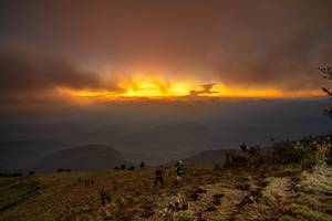 BIB: 
                            <button type="button" onclick="openModal(19374012)" class="btn btn-primary btn-sm float-right btn-popup" data-toggle="modal" data-target=".modal-high-quality">
                        <i class="fas fa-shopping-cart"></i> Add to Cart
                    </button>
                                            <button type="button" onclick="isThisMe(19374012, true)" class="btn btn-success btn-sm float-right btn-popup btn-isme hidden" data-toggle="tooltip" data-placement="bottom" title="นี่คือรูปของคุณใช่ไหม คลิกที่นี่เพื่อเอาเข้าอัลบั้ม">
                        <i class="fas fa-plus"></i> Add to album
                    </button>
                    <button type="button" onclick="isThisMe(19374012, false)" class="btn btn-warning btn-sm float-right btn-popup btn-isnotme hidden">
                        <i class="fas fa-ban"></i> Remove from album
                    </button>