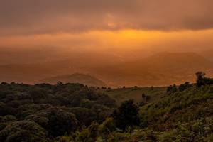 BIB: 
                            <button type="button" onclick="openModal(19373925)" class="btn btn-primary btn-sm float-right btn-popup" data-toggle="modal" data-target=".modal-high-quality">
                        <i class="fas fa-shopping-cart"></i> Add to Cart
                    </button>
                                            <button type="button" onclick="isThisMe(19373925, true)" class="btn btn-success btn-sm float-right btn-popup btn-isme hidden" data-toggle="tooltip" data-placement="bottom" title="นี่คือรูปของคุณใช่ไหม คลิกที่นี่เพื่อเอาเข้าอัลบั้ม">
                        <i class="fas fa-plus"></i> Add to album
                    </button>
                    <button type="button" onclick="isThisMe(19373925, false)" class="btn btn-warning btn-sm float-right btn-popup btn-isnotme hidden">
                        <i class="fas fa-ban"></i> Remove from album
                    </button>