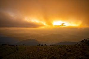 BIB: 
                            <button type="button" onclick="openModal(19374010)" class="btn btn-primary btn-sm float-right btn-popup" data-toggle="modal" data-target=".modal-high-quality">
                        <i class="fas fa-shopping-cart"></i> Add to Cart
                    </button>
                                            <button type="button" onclick="isThisMe(19374010, true)" class="btn btn-success btn-sm float-right btn-popup btn-isme hidden" data-toggle="tooltip" data-placement="bottom" title="นี่คือรูปของคุณใช่ไหม คลิกที่นี่เพื่อเอาเข้าอัลบั้ม">
                        <i class="fas fa-plus"></i> Add to album
                    </button>
                    <button type="button" onclick="isThisMe(19374010, false)" class="btn btn-warning btn-sm float-right btn-popup btn-isnotme hidden">
                        <i class="fas fa-ban"></i> Remove from album
                    </button>