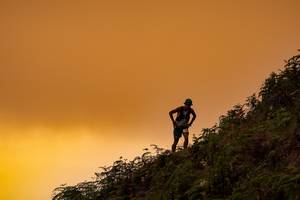 BIB: 
                            <button type="button" onclick="openModal(19373940)" class="btn btn-primary btn-sm float-right btn-popup" data-toggle="modal" data-target=".modal-high-quality">
                        <i class="fas fa-shopping-cart"></i> Add to Cart
                    </button>
                                            <button type="button" onclick="isThisMe(19373940, true)" class="btn btn-success btn-sm float-right btn-popup btn-isme hidden" data-toggle="tooltip" data-placement="bottom" title="นี่คือรูปของคุณใช่ไหม คลิกที่นี่เพื่อเอาเข้าอัลบั้ม">
                        <i class="fas fa-plus"></i> Add to album
                    </button>
                    <button type="button" onclick="isThisMe(19373940, false)" class="btn btn-warning btn-sm float-right btn-popup btn-isnotme hidden">
                        <i class="fas fa-ban"></i> Remove from album
                    </button>