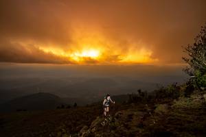 BIB: 
                            <button type="button" onclick="openModal(19373997)" class="btn btn-primary btn-sm float-right btn-popup" data-toggle="modal" data-target=".modal-high-quality">
                        <i class="fas fa-shopping-cart"></i> Add to Cart
                    </button>
                                            <button type="button" onclick="isThisMe(19373997, true)" class="btn btn-success btn-sm float-right btn-popup btn-isme hidden" data-toggle="tooltip" data-placement="bottom" title="นี่คือรูปของคุณใช่ไหม คลิกที่นี่เพื่อเอาเข้าอัลบั้ม">
                        <i class="fas fa-plus"></i> Add to album
                    </button>
                    <button type="button" onclick="isThisMe(19373997, false)" class="btn btn-warning btn-sm float-right btn-popup btn-isnotme hidden">
                        <i class="fas fa-ban"></i> Remove from album
                    </button>