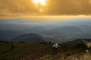 BIB: 
                            <button type="button" onclick="openModal(19373960)" class="btn btn-primary btn-sm float-right btn-popup" data-toggle="modal" data-target=".modal-high-quality">
                        <i class="fas fa-shopping-cart"></i> Add to Cart
                    </button>
                                            <button type="button" onclick="isThisMe(19373960, true)" class="btn btn-success btn-sm float-right btn-popup btn-isme hidden" data-toggle="tooltip" data-placement="bottom" title="นี่คือรูปของคุณใช่ไหม คลิกที่นี่เพื่อเอาเข้าอัลบั้ม">
                        <i class="fas fa-plus"></i> Add to album
                    </button>
                    <button type="button" onclick="isThisMe(19373960, false)" class="btn btn-warning btn-sm float-right btn-popup btn-isnotme hidden">
                        <i class="fas fa-ban"></i> Remove from album
                    </button>