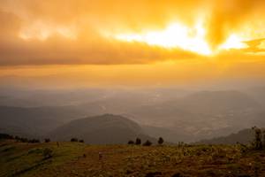 BIB: 
                            <button type="button" onclick="openModal(19374005)" class="btn btn-primary btn-sm float-right btn-popup" data-toggle="modal" data-target=".modal-high-quality">
                        <i class="fas fa-shopping-cart"></i> Add to Cart
                    </button>
                                            <button type="button" onclick="isThisMe(19374005, true)" class="btn btn-success btn-sm float-right btn-popup btn-isme hidden" data-toggle="tooltip" data-placement="bottom" title="นี่คือรูปของคุณใช่ไหม คลิกที่นี่เพื่อเอาเข้าอัลบั้ม">
                        <i class="fas fa-plus"></i> Add to album
                    </button>
                    <button type="button" onclick="isThisMe(19374005, false)" class="btn btn-warning btn-sm float-right btn-popup btn-isnotme hidden">
                        <i class="fas fa-ban"></i> Remove from album
                    </button>