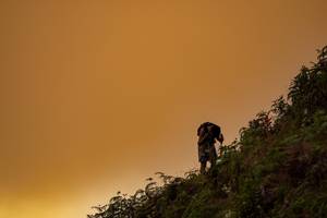 BIB: 
                            <button type="button" onclick="openModal(19373957)" class="btn btn-primary btn-sm float-right btn-popup" data-toggle="modal" data-target=".modal-high-quality">
                        <i class="fas fa-shopping-cart"></i> Add to Cart
                    </button>
                                            <button type="button" onclick="isThisMe(19373957, true)" class="btn btn-success btn-sm float-right btn-popup btn-isme hidden" data-toggle="tooltip" data-placement="bottom" title="นี่คือรูปของคุณใช่ไหม คลิกที่นี่เพื่อเอาเข้าอัลบั้ม">
                        <i class="fas fa-plus"></i> Add to album
                    </button>
                    <button type="button" onclick="isThisMe(19373957, false)" class="btn btn-warning btn-sm float-right btn-popup btn-isnotme hidden">
                        <i class="fas fa-ban"></i> Remove from album
                    </button>