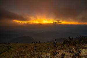 BIB: 
                            <button type="button" onclick="openModal(19374018)" class="btn btn-primary btn-sm float-right btn-popup" data-toggle="modal" data-target=".modal-high-quality">
                        <i class="fas fa-shopping-cart"></i> Add to Cart
                    </button>
                                            <button type="button" onclick="isThisMe(19374018, true)" class="btn btn-success btn-sm float-right btn-popup btn-isme hidden" data-toggle="tooltip" data-placement="bottom" title="นี่คือรูปของคุณใช่ไหม คลิกที่นี่เพื่อเอาเข้าอัลบั้ม">
                        <i class="fas fa-plus"></i> Add to album
                    </button>
                    <button type="button" onclick="isThisMe(19374018, false)" class="btn btn-warning btn-sm float-right btn-popup btn-isnotme hidden">
                        <i class="fas fa-ban"></i> Remove from album
                    </button>