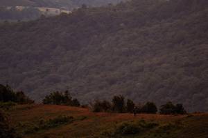 BIB: 
                            <button type="button" onclick="openModal(19373949)" class="btn btn-primary btn-sm float-right btn-popup" data-toggle="modal" data-target=".modal-high-quality">
                        <i class="fas fa-shopping-cart"></i> Add to Cart
                    </button>
                                            <button type="button" onclick="isThisMe(19373949, true)" class="btn btn-success btn-sm float-right btn-popup btn-isme hidden" data-toggle="tooltip" data-placement="bottom" title="นี่คือรูปของคุณใช่ไหม คลิกที่นี่เพื่อเอาเข้าอัลบั้ม">
                        <i class="fas fa-plus"></i> Add to album
                    </button>
                    <button type="button" onclick="isThisMe(19373949, false)" class="btn btn-warning btn-sm float-right btn-popup btn-isnotme hidden">
                        <i class="fas fa-ban"></i> Remove from album
                    </button>