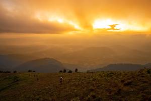 BIB: 
                            <button type="button" onclick="openModal(19374008)" class="btn btn-primary btn-sm float-right btn-popup" data-toggle="modal" data-target=".modal-high-quality">
                        <i class="fas fa-shopping-cart"></i> Add to Cart
                    </button>
                                            <button type="button" onclick="isThisMe(19374008, true)" class="btn btn-success btn-sm float-right btn-popup btn-isme hidden" data-toggle="tooltip" data-placement="bottom" title="นี่คือรูปของคุณใช่ไหม คลิกที่นี่เพื่อเอาเข้าอัลบั้ม">
                        <i class="fas fa-plus"></i> Add to album
                    </button>
                    <button type="button" onclick="isThisMe(19374008, false)" class="btn btn-warning btn-sm float-right btn-popup btn-isnotme hidden">
                        <i class="fas fa-ban"></i> Remove from album
                    </button>