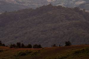 BIB: 
                            <button type="button" onclick="openModal(19373951)" class="btn btn-primary btn-sm float-right btn-popup" data-toggle="modal" data-target=".modal-high-quality">
                        <i class="fas fa-shopping-cart"></i> Add to Cart
                    </button>
                                            <button type="button" onclick="isThisMe(19373951, true)" class="btn btn-success btn-sm float-right btn-popup btn-isme hidden" data-toggle="tooltip" data-placement="bottom" title="นี่คือรูปของคุณใช่ไหม คลิกที่นี่เพื่อเอาเข้าอัลบั้ม">
                        <i class="fas fa-plus"></i> Add to album
                    </button>
                    <button type="button" onclick="isThisMe(19373951, false)" class="btn btn-warning btn-sm float-right btn-popup btn-isnotme hidden">
                        <i class="fas fa-ban"></i> Remove from album
                    </button>