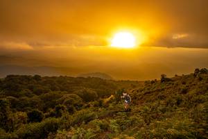 BIB: 
                            <button type="button" onclick="openModal(19373906)" class="btn btn-primary btn-sm float-right btn-popup" data-toggle="modal" data-target=".modal-high-quality">
                        <i class="fas fa-shopping-cart"></i> Add to Cart
                    </button>
                                            <button type="button" onclick="isThisMe(19373906, true)" class="btn btn-success btn-sm float-right btn-popup btn-isme hidden" data-toggle="tooltip" data-placement="bottom" title="นี่คือรูปของคุณใช่ไหม คลิกที่นี่เพื่อเอาเข้าอัลบั้ม">
                        <i class="fas fa-plus"></i> Add to album
                    </button>
                    <button type="button" onclick="isThisMe(19373906, false)" class="btn btn-warning btn-sm float-right btn-popup btn-isnotme hidden">
                        <i class="fas fa-ban"></i> Remove from album
                    </button>