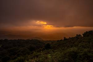 BIB: 
                            <button type="button" onclick="openModal(19373919)" class="btn btn-primary btn-sm float-right btn-popup" data-toggle="modal" data-target=".modal-high-quality">
                        <i class="fas fa-shopping-cart"></i> Add to Cart
                    </button>
                                            <button type="button" onclick="isThisMe(19373919, true)" class="btn btn-success btn-sm float-right btn-popup btn-isme hidden" data-toggle="tooltip" data-placement="bottom" title="นี่คือรูปของคุณใช่ไหม คลิกที่นี่เพื่อเอาเข้าอัลบั้ม">
                        <i class="fas fa-plus"></i> Add to album
                    </button>
                    <button type="button" onclick="isThisMe(19373919, false)" class="btn btn-warning btn-sm float-right btn-popup btn-isnotme hidden">
                        <i class="fas fa-ban"></i> Remove from album
                    </button>