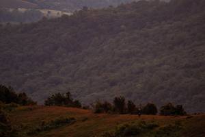 BIB: 
                            <button type="button" onclick="openModal(19373952)" class="btn btn-primary btn-sm float-right btn-popup" data-toggle="modal" data-target=".modal-high-quality">
                        <i class="fas fa-shopping-cart"></i> Add to Cart
                    </button>
                                            <button type="button" onclick="isThisMe(19373952, true)" class="btn btn-success btn-sm float-right btn-popup btn-isme hidden" data-toggle="tooltip" data-placement="bottom" title="นี่คือรูปของคุณใช่ไหม คลิกที่นี่เพื่อเอาเข้าอัลบั้ม">
                        <i class="fas fa-plus"></i> Add to album
                    </button>
                    <button type="button" onclick="isThisMe(19373952, false)" class="btn btn-warning btn-sm float-right btn-popup btn-isnotme hidden">
                        <i class="fas fa-ban"></i> Remove from album
                    </button>