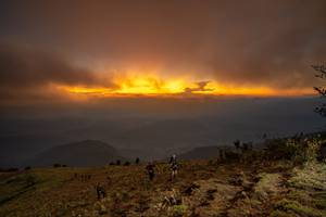 BIB: 
                            <button type="button" onclick="openModal(19374013)" class="btn btn-primary btn-sm float-right btn-popup" data-toggle="modal" data-target=".modal-high-quality">
                        <i class="fas fa-shopping-cart"></i> Add to Cart
                    </button>
                                            <button type="button" onclick="isThisMe(19374013, true)" class="btn btn-success btn-sm float-right btn-popup btn-isme hidden" data-toggle="tooltip" data-placement="bottom" title="นี่คือรูปของคุณใช่ไหม คลิกที่นี่เพื่อเอาเข้าอัลบั้ม">
                        <i class="fas fa-plus"></i> Add to album
                    </button>
                    <button type="button" onclick="isThisMe(19374013, false)" class="btn btn-warning btn-sm float-right btn-popup btn-isnotme hidden">
                        <i class="fas fa-ban"></i> Remove from album
                    </button>