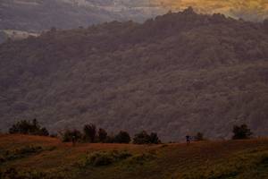 BIB: 
                            <button type="button" onclick="openModal(19373946)" class="btn btn-primary btn-sm float-right btn-popup" data-toggle="modal" data-target=".modal-high-quality">
                        <i class="fas fa-shopping-cart"></i> Add to Cart
                    </button>
                                            <button type="button" onclick="isThisMe(19373946, true)" class="btn btn-success btn-sm float-right btn-popup btn-isme hidden" data-toggle="tooltip" data-placement="bottom" title="นี่คือรูปของคุณใช่ไหม คลิกที่นี่เพื่อเอาเข้าอัลบั้ม">
                        <i class="fas fa-plus"></i> Add to album
                    </button>
                    <button type="button" onclick="isThisMe(19373946, false)" class="btn btn-warning btn-sm float-right btn-popup btn-isnotme hidden">
                        <i class="fas fa-ban"></i> Remove from album
                    </button>