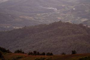 BIB: 
                            <button type="button" onclick="openModal(19373948)" class="btn btn-primary btn-sm float-right btn-popup" data-toggle="modal" data-target=".modal-high-quality">
                        <i class="fas fa-shopping-cart"></i> Add to Cart
                    </button>
                                            <button type="button" onclick="isThisMe(19373948, true)" class="btn btn-success btn-sm float-right btn-popup btn-isme hidden" data-toggle="tooltip" data-placement="bottom" title="นี่คือรูปของคุณใช่ไหม คลิกที่นี่เพื่อเอาเข้าอัลบั้ม">
                        <i class="fas fa-plus"></i> Add to album
                    </button>
                    <button type="button" onclick="isThisMe(19373948, false)" class="btn btn-warning btn-sm float-right btn-popup btn-isnotme hidden">
                        <i class="fas fa-ban"></i> Remove from album
                    </button>